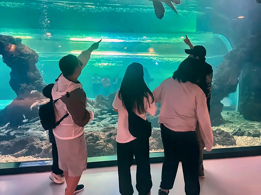 창원동백학교 수학여행 2박3일, 박물관·체험 위주 제주 코스 — 현장 사진(참석자 얼굴 흐림)